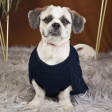 Petsnugs Cable Knit Sweater for Dogs and Cats (Navy Blue) For Cheap