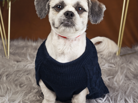 Petsnugs Cable Knit Sweater for Dogs and Cats (Navy Blue) For Cheap