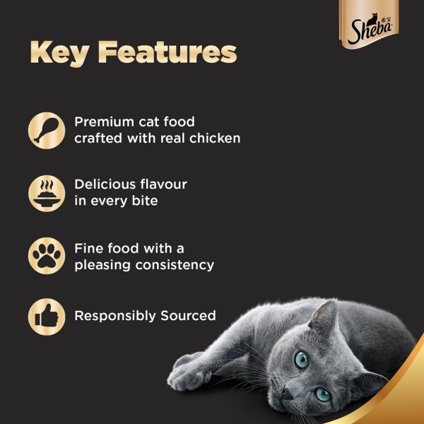 Sheba Chicken Loaf Premium Kitten (2 to 12 Months) Wet Food and Chicken All Life Stage Cat Dry Food Combo Discount