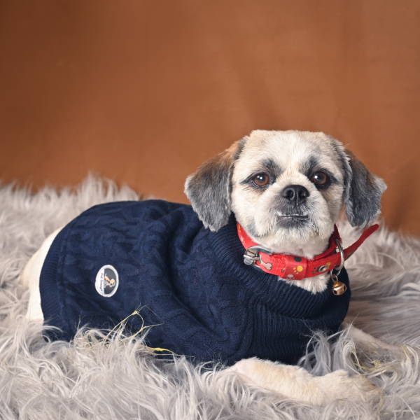 Petsnugs Cable Knit Sweater for Dogs and Cats (Navy Blue) For Cheap