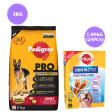 Pedigree PRO Expert Nutrition Active Adult (18 Months Onwards) Large Breed Dry Food and Dentastix Oral Care for Adult (Large Breed of 25 kg+) Treats Combo for Dogs Supply