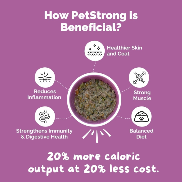 PetStrong Chicken and Rice & Lamb and Rice Fresh Food for Dogs Combo Discount