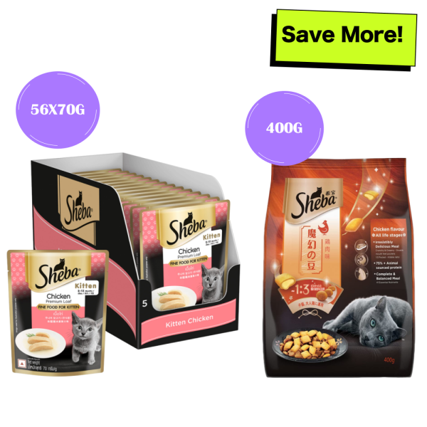 Sheba Chicken Loaf Premium Kitten (2 to 12 Months) Wet Food and Chicken All Life Stage Cat Dry Food Combo Discount