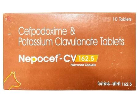 Ttk Nepocef-CV 162.5mg Tablet for Dogs and Cats Sale