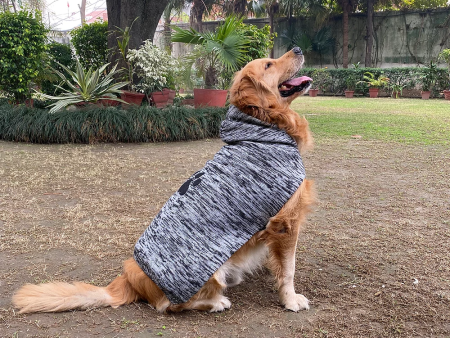 Pet Snugs Fur Coated Paw Design Sweaters for Dogs and Cats (Dark Grey) Online Sale