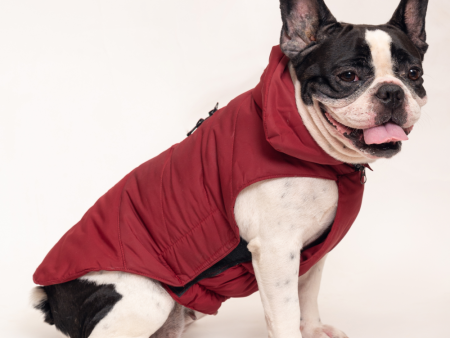 Petsnugs Jacket for Dogs and Cats (Maroon) Online now