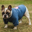 Pet Snugs Popcorn Print Sweatshirt for Dogs (Sky Blue) Sale