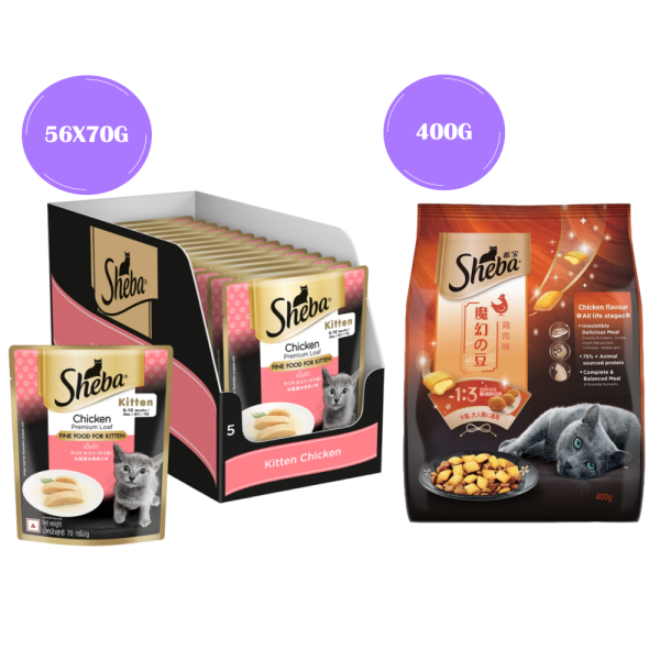 Sheba Chicken Loaf Rich Premium Kitten (2 to 12 Months) Fine Wet Food and Irresistible All Life Stage Cat Dry Food Combo Online Hot Sale