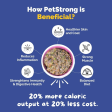 PetStrong Lamb and Blueberry & Chicken and Pumpkin Grain Free Fresh Food for Dogs Combo Online Sale