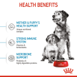 Royal Canin Medium Starter Dry Food for Medium Breed Dog and Puppies (Limited Shelf Life) Discount