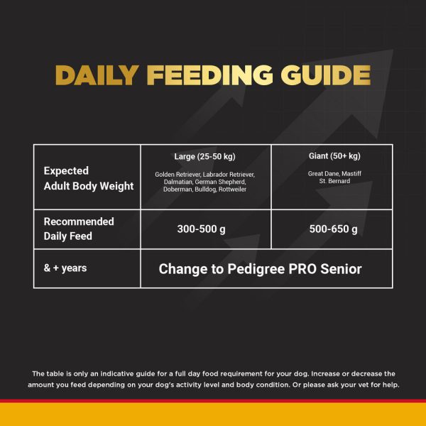 Pedigree PRO Expert Nutrition Active Adult (18 Months Onwards) Large Breed Dry Food and Dentastix Oral Care for Adult (Large Breed of 25 kg+) Treats Combo for Dogs Supply