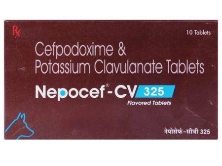 Ttk Nepocef-CV 325mg Tablet for Dogs and Cats Supply