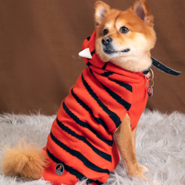 Petsnugs Tiger Knit Sweater for Dogs and Cats (Black & Orange) Online Sale