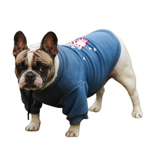 Pet Snugs Popcorn Print Sweatshirt for Dogs (Sky Blue) Sale