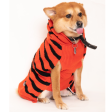 Petsnugs Tiger Knit Sweater for Dogs and Cats (Black & Orange) Online Sale