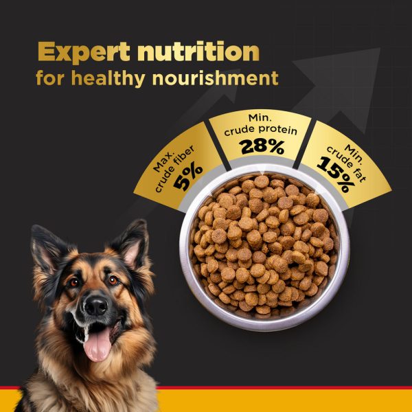 Pedigree PRO Expert Nutrition Active Adult (18 Months Onwards) Large Breed Dry Food and Dentastix Oral Care for Adult (Large Breed of 25 kg+) Treats Combo for Dogs Supply