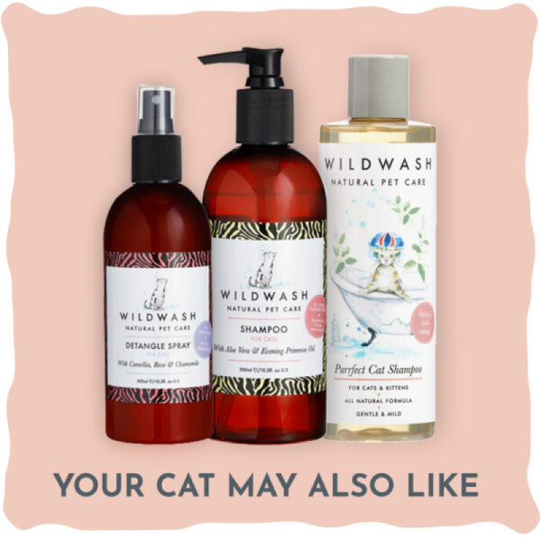 WildWash Paw Balm for Cats Online