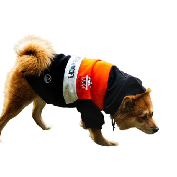 Pet Snugs You Had Me At Woof Sweatshirt for Dogs (Orange White & Black) Online