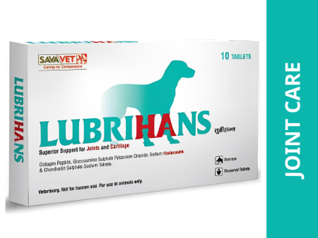 Savavet Lubrihans Joint Support tablet for Dogs For Cheap