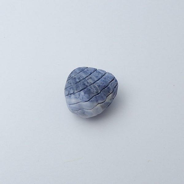 Blue Coral Carved Shell Gemstone Cabochon, 25x27x15mm, 12g For Cheap