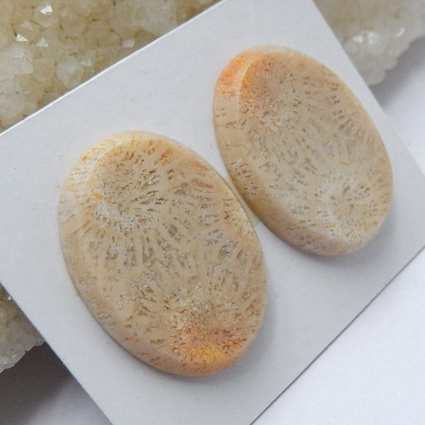 Natural Indonesian Coral Cabochons Paired 21x19x4mm, 7.5g Cheap