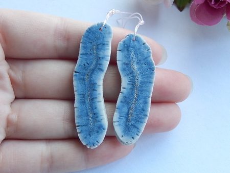 2 PCS Natural Blue Coral Pendant Beads 49x13x3mm, 44x15x3mm, 6.1g Fashion