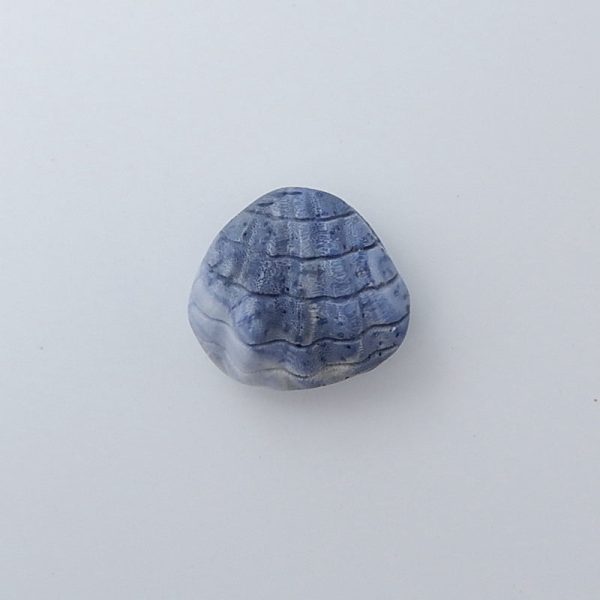 Blue Coral Carved Shell Gemstone Cabochon, 25x27x15mm, 12g For Cheap