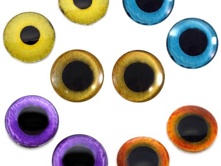 Owl Inspired Glass Eyes Bundle - 5 Pairs Fashion