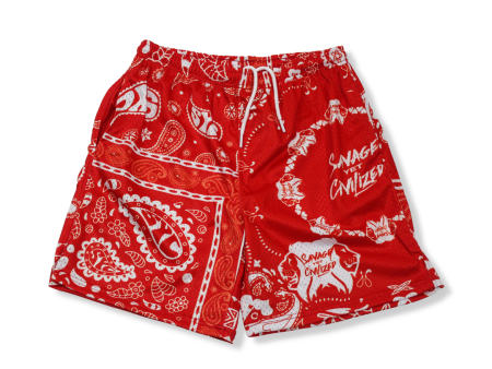 SYC Paisleys Mesh Shorts  Cherry Pop  Online Sale