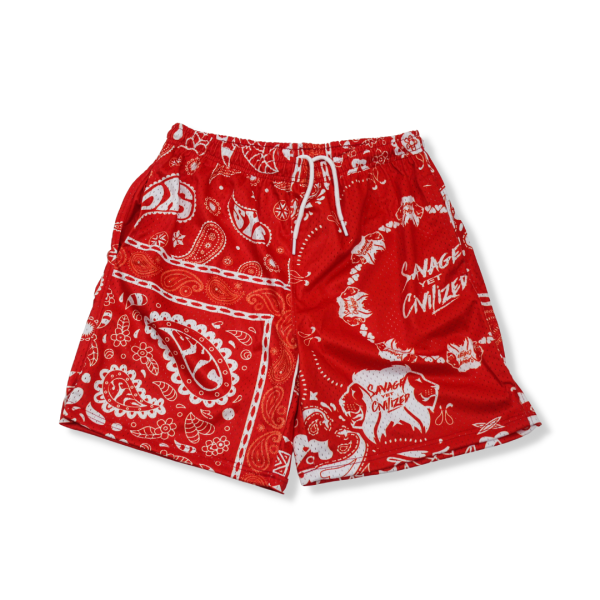 SYC Paisleys Mesh Shorts  Cherry Pop  Online Sale