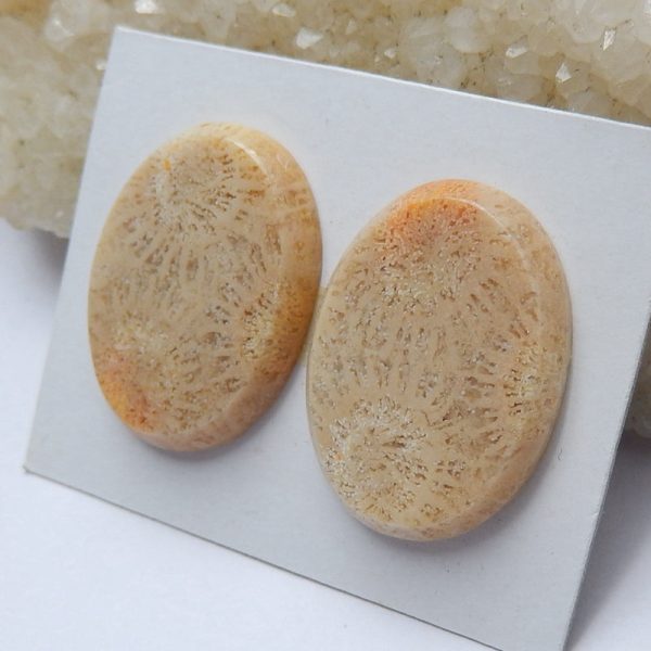 Natural Indonesian Coral Cabochons Paired 21x19x4mm, 7.5g Cheap