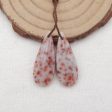 Natural Red Dalmatian Jasper Earring Beads 27x11x4mm, 3.8g For Sale