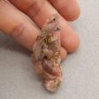 Natural Pink Opal Carved lizard Pendant Bead 60x25x10mm, 14.8g For Cheap