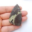 Natural Mushroom Jasper Cabochon 51x29x6mm, 12.2g Online now