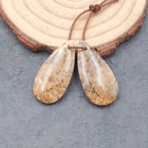 Natural Palm Root Stone Earring Beads 30x12x5mm, 4.7g For Sale