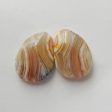 Natural Crazy Lace Agate cabochons Paired 15x11x4mm, 2.8g Online