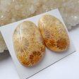 Natural Indonesian Coral Cabochons Paired 23x16x6mm, 7.4g Fashion