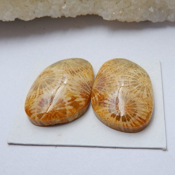 Natural Indonesian Coral Cabochons Paired 23x16x6mm, 7.4g Fashion