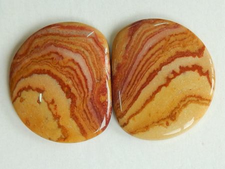 Natural Biggs Jasper Cabochons Paired 20x17x3mm, 3.4g Hot on Sale