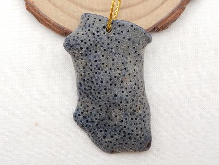 Natural Blue Fossil Coral Pendant Bead 44x28x7mm, 10.9g For Cheap