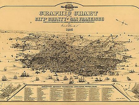 Graphic chart of the city and county of San Francisco, 1875 For Cheap