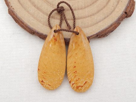 Natural Palm Root Stone Earring Beads 30x12x5mm, 4.7g For Sale