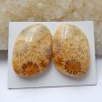 Natural Indonesian Coral Cabochons Paired 23x16x6mm, 7.4g Fashion