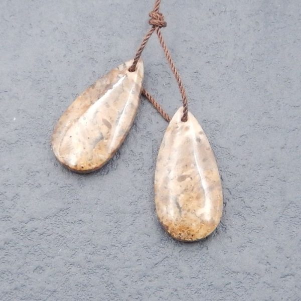 Natural Palm Root Stone Earring Beads 30x12x5mm, 4.7g For Sale