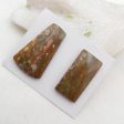 Natural Biggs Jasper Cabochons Paired 42x25x5mm, 36x18x5mm, 17.3g Sale