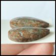 Natural Mushroom Jasper Cabochons Paired 29x19x5mm, 8.9g Online now