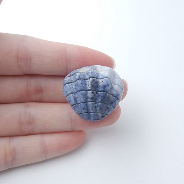 Blue Coral Carved Shell Gemstone Cabochon, 25x27x15mm, 12g For Cheap