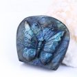 Natural Labradorite Carved butterfly Cabochon 60x55x22mm, 109.4g Supply