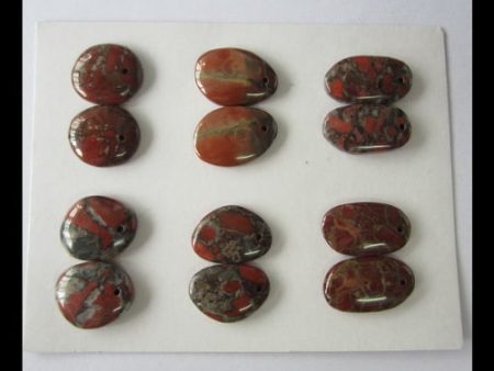 6 Pairs Natural Dinosaur Jasper Pendant Beads 16x13x4mm, 20x11x4mm, 20g Online