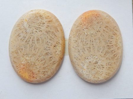 Natural Indonesian Coral Cabochons Paired 21x19x4mm, 7.5g Cheap